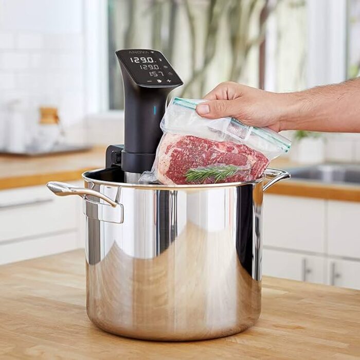 Review: Anova Culinary Sous Vide Precision Cooker Pro